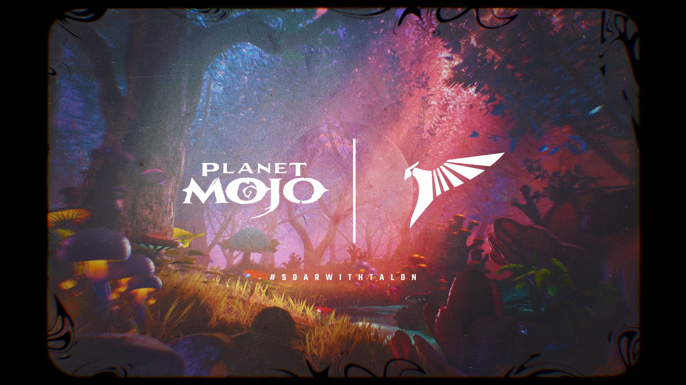 TALON AND PLANET MOJO JOIN FORCES