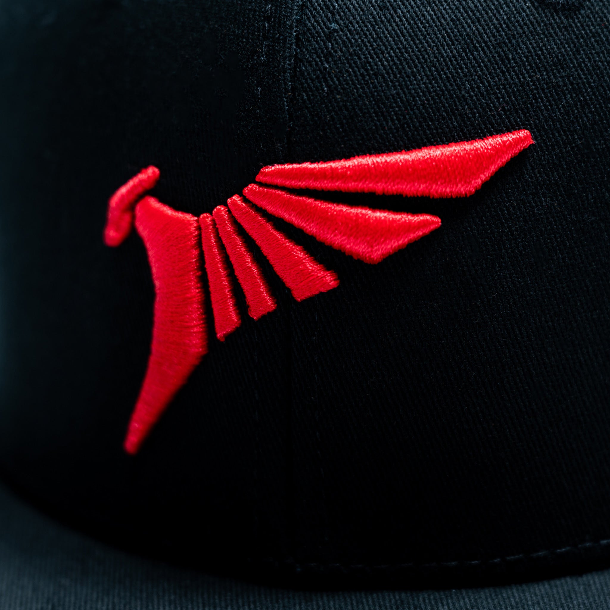 Talon Logo Snapback